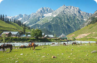 Kashmir