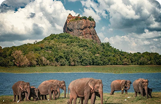 Sri Lanka